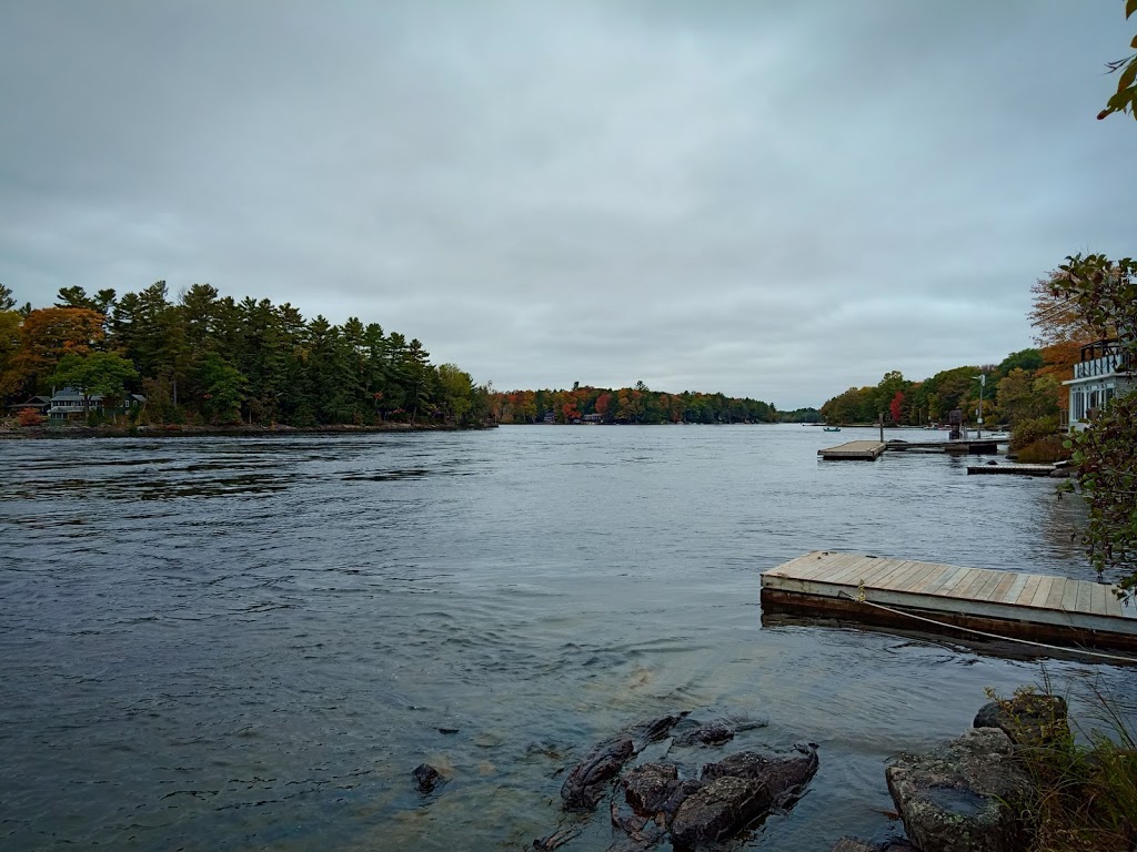 Mark Gidley, Forest Hill Real Estate Inc. Brokerage | 3125 Muskoka District Road 169, Bala, ON P0C 1A0, Canada | Phone: (705) 706-7065