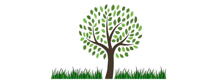 Nicholls Tree and Lawn Service Inc | 6109 Heritage Park Crescent, Orléans, ON K1C 7G8, Canada | Phone: (613) 882-3873