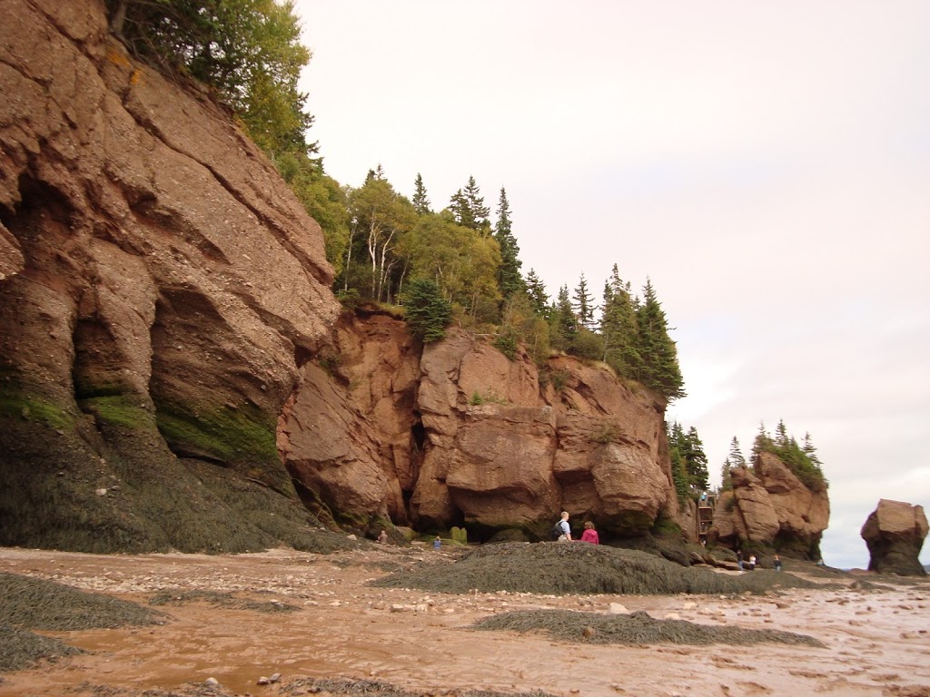 Hopewell Rocks Park | 131ch, Discovery Rd, Hopewell Cape, NB E4H 4Z5, Canada | Phone: (877) 734-3429