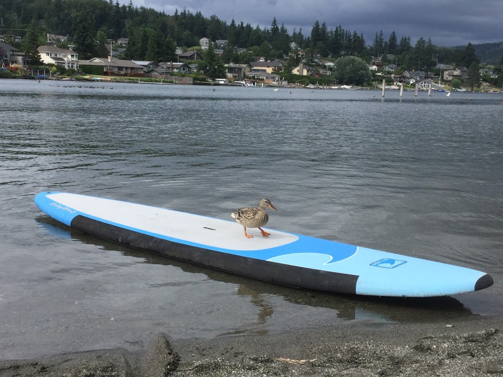 Bloedel Boat Rentals | 2200 Electric Ave, Bellingham, WA 98229, USA | Phone: (360) 398-5801