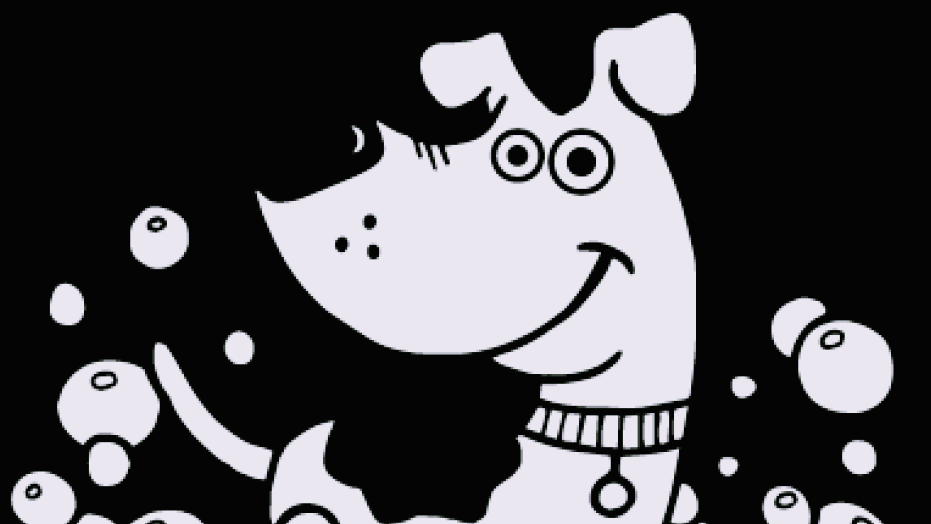 Paw Prints Dog Grooming | 24 Pine Park Blvd, Everett, ON L0M 1J0, Canada | Phone: (705) 890-3300