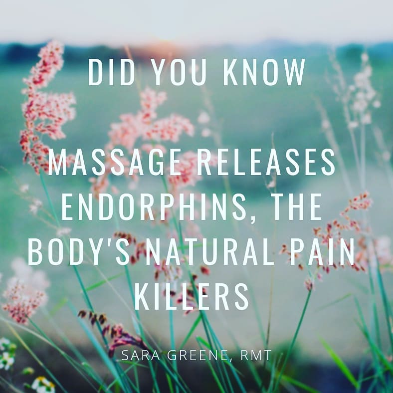 Sara Greene RMT | 355 Ridge Rd N, Ridgeway, ON L0S 1N0, Canada | Phone: (905) 894-1551