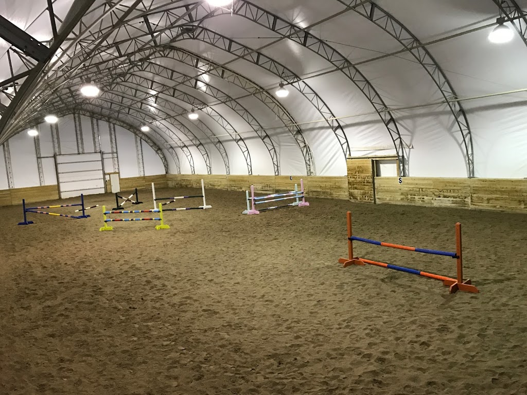 SolidGold Equestrian | 3567 Maple Grove Rd, Bowmanville, ON L1C 3K4, Canada | Phone: (289) 688-7583