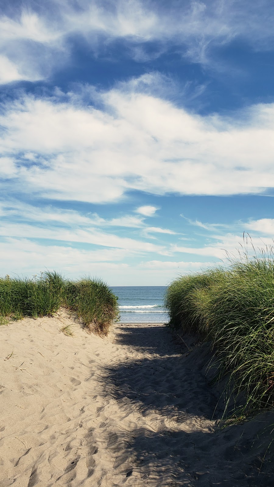Surf Martinique with Halifax Surf School | 193 Martinique Beach Rd, Musquodoboit Harbour, NS B0J 2L0, Canada | Phone: (902) 789-5483