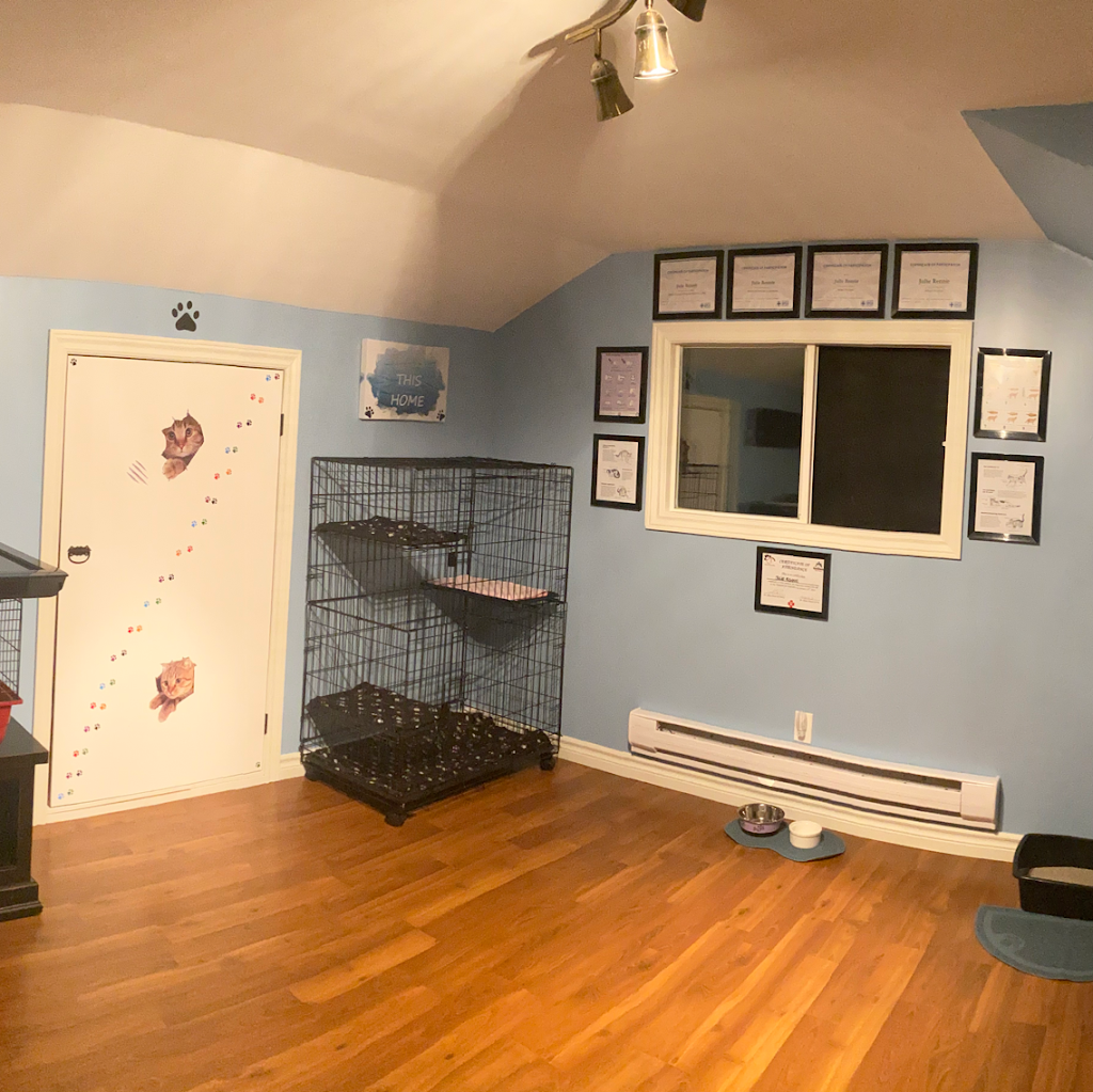 Muskoka’s Critter Sitter | 1042 S Kahshe Lake Rd, Kilworthy, ON P0E 1G0, Canada | Phone: (705) 279-3517