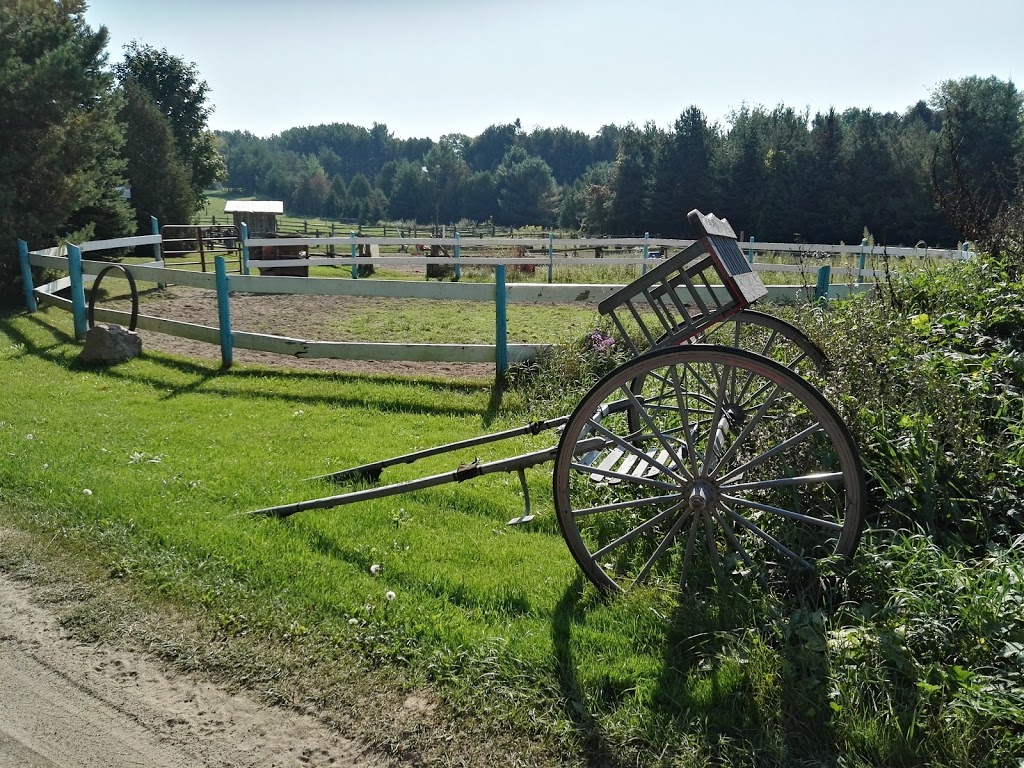 Conservation Lands | Loretto, ON L0G 1L0, Canada | Phone: (416) 661-6600