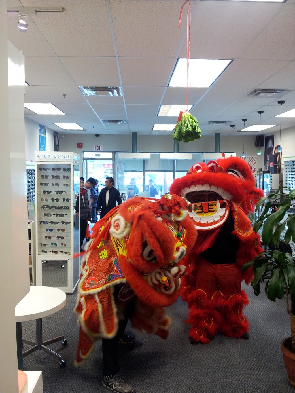 Focus Optical | 1177 Central Pkwy W #10B, Mississauga, ON L5C 4P3, Canada | Phone: (905) 272-0866