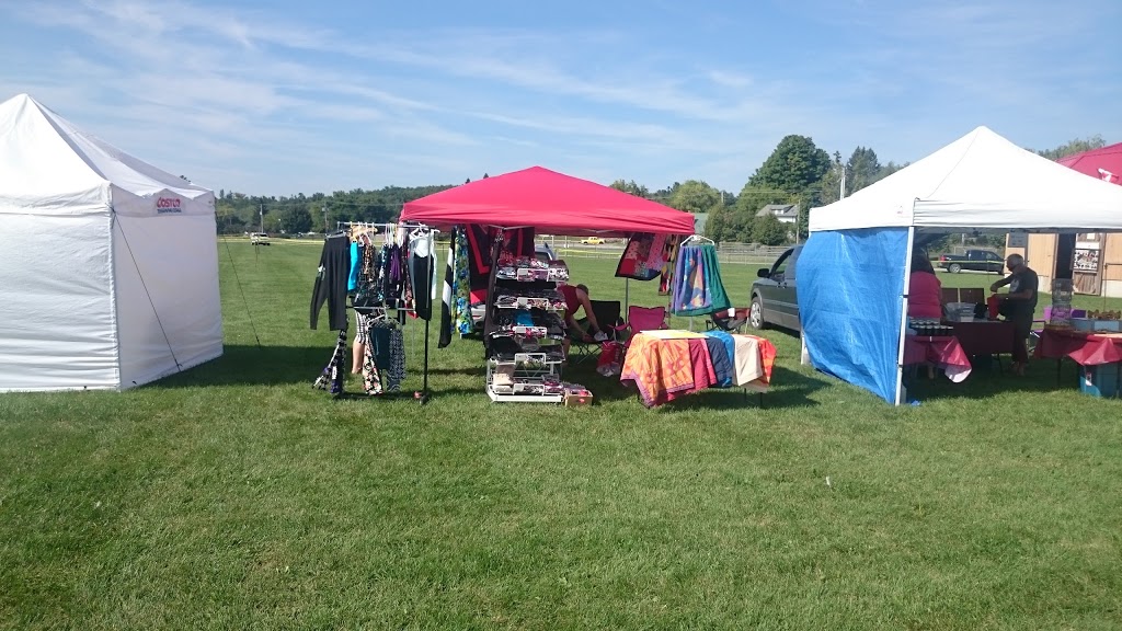 The Roseneath Carousel | 9109 45, Roseneath, ON K0K 2X0, Canada | Phone: (905) 352-3778