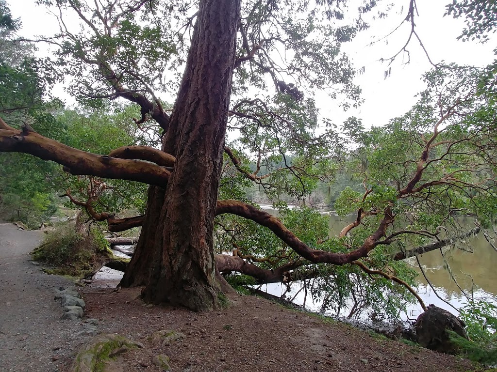 Wittys Lagoon | Metchosin, BC V9C 4H8, Canada | Phone: (250) 478-3344