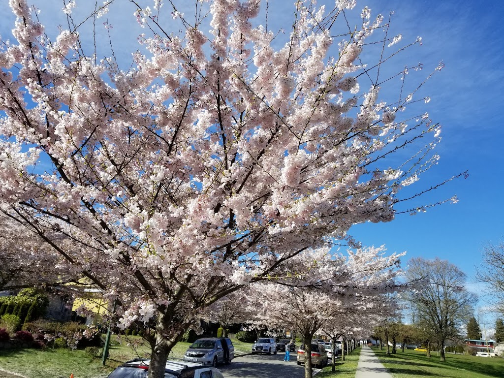 Winona Park | 7575 Columbia St, Vancouver, BC V5X 2Z1, Canada | Phone: (604) 873-7000