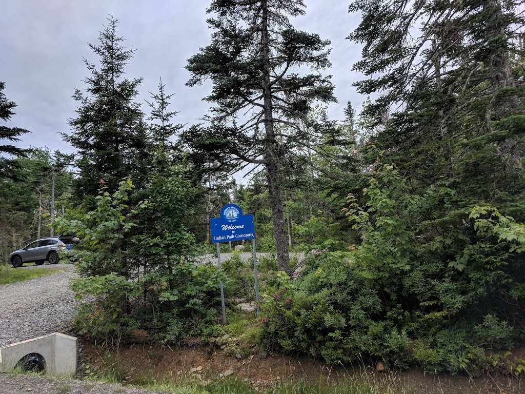 Indian Path Common Hiking Trail | Fish Peddler Rd, Riverport, NS B4V 2H1, Canada