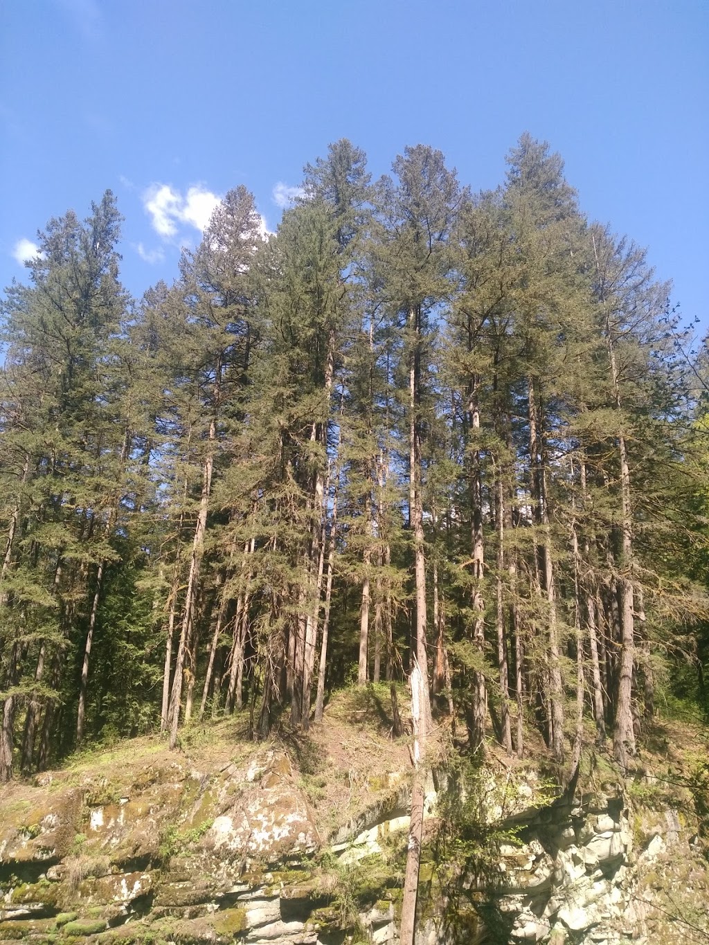Balmoral Park | 45282 Balmoral Ave, Chilliwack, BC V2R 3G9, Canada