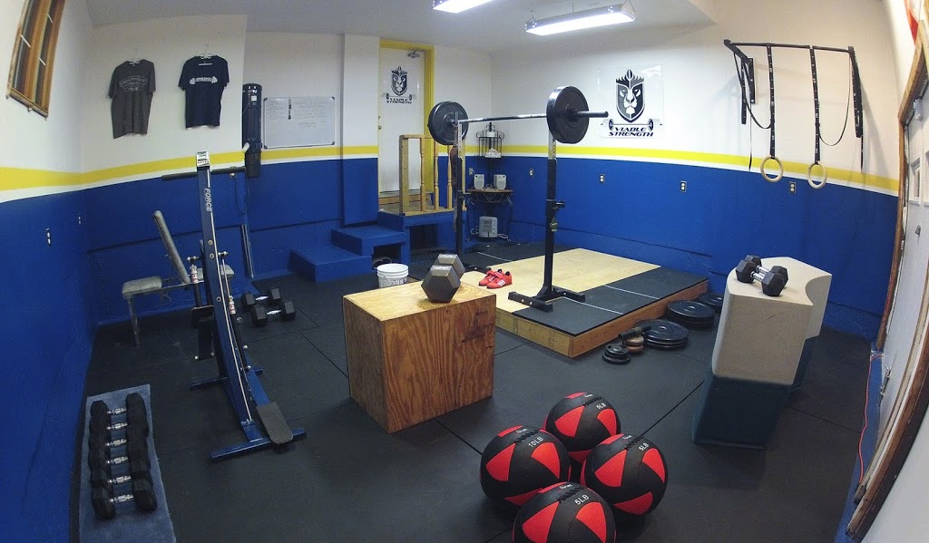 Viable Strength | 15 Lauchlin Crescent, Georgetown, ON L7G 5R1, Canada | Phone: (289) 890-0406