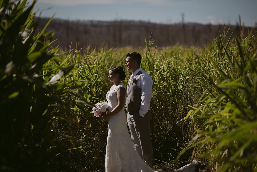 Chrystal Stringer | Photographer | 2583 Coughlan Rd SW, Edmonton, AB T6W 3S1, Canada | Phone: (780) 381-5189