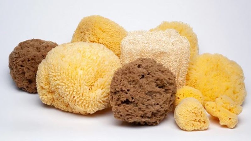 The Bath Market | 1389 King St N #2, St. Jacobs, ON N0B 2N0, Canada | Phone: (519) 497-7000