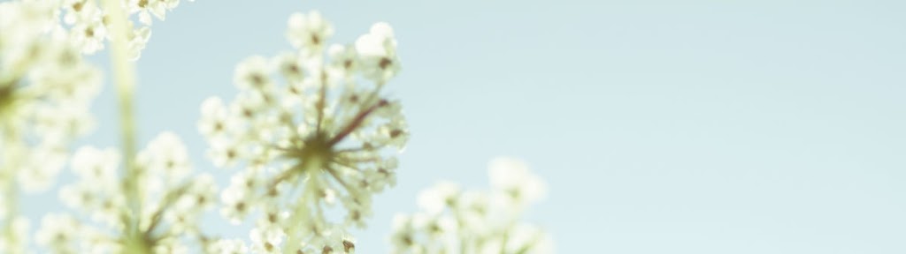Flourish Naturopathic | 143 Moss St, Victoria, BC V8V 4M2, Canada | Phone: (778) 406-1177