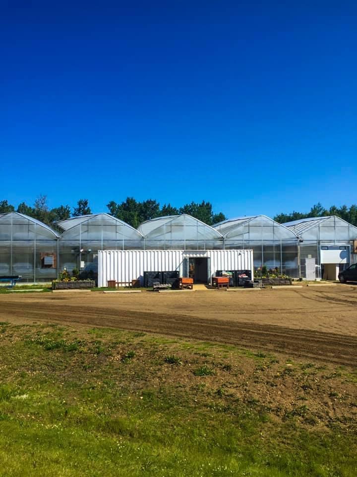 Bloom-In Crazy Garden Centre | 1130 Township Rd 535, Carvel, AB T0E 0H0, Canada | Phone: (780) 963-2711