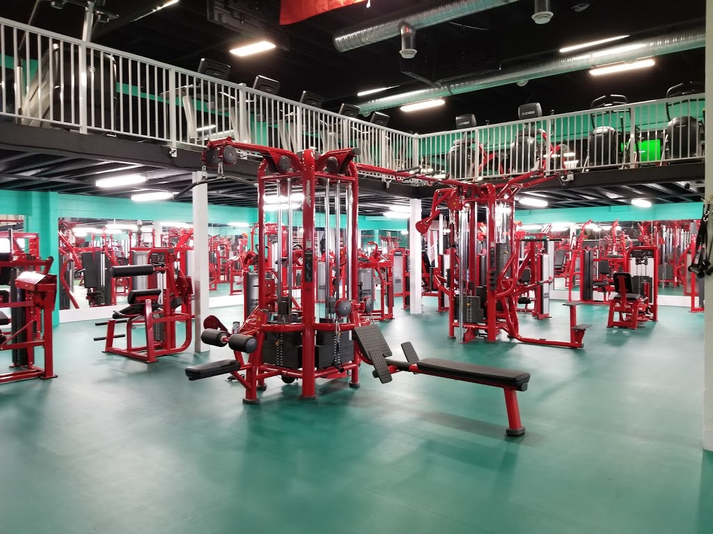 WORLD CHAMPION CLUB | 12851 No 5 Rd, Richmond, BC V7A 4E9, Canada | Phone: (604) 275-5288