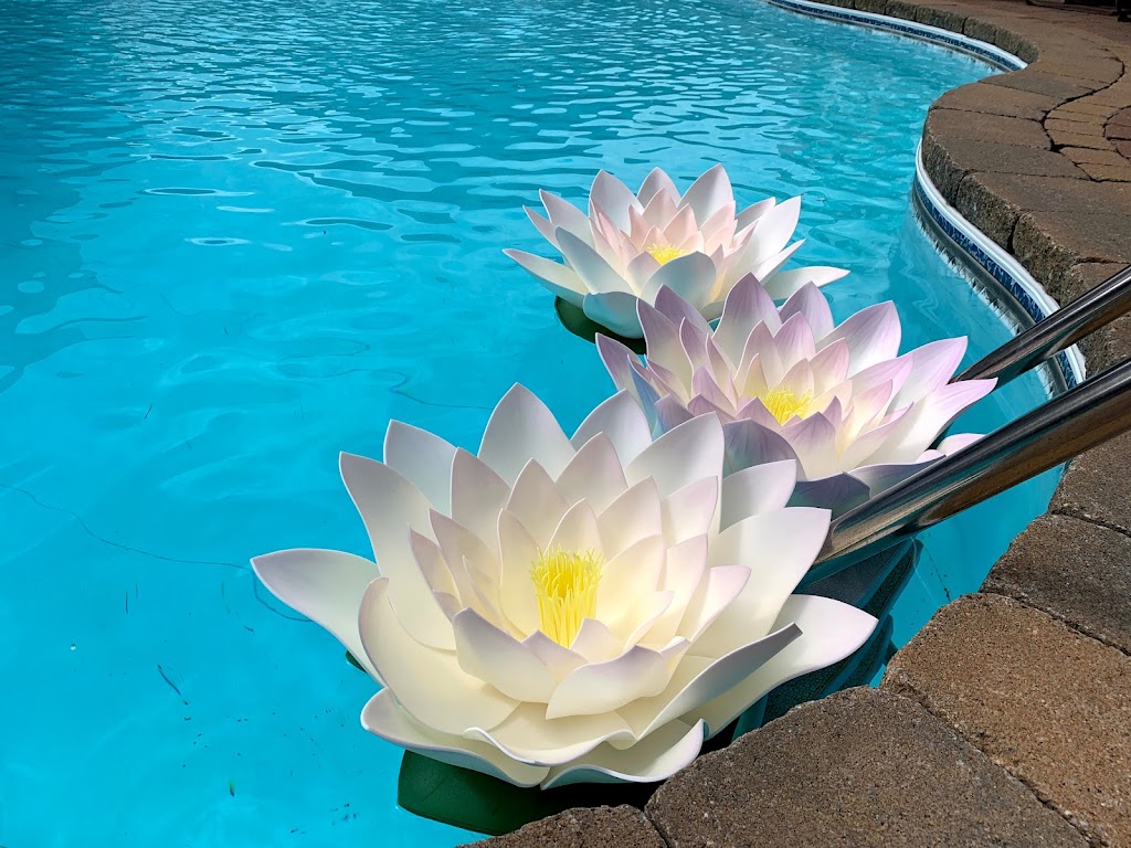 Dikoral Flowers | 1431 Rue Barott, Mascouche, QC J7L 0E7, Canada | Phone: (514) 242-6817