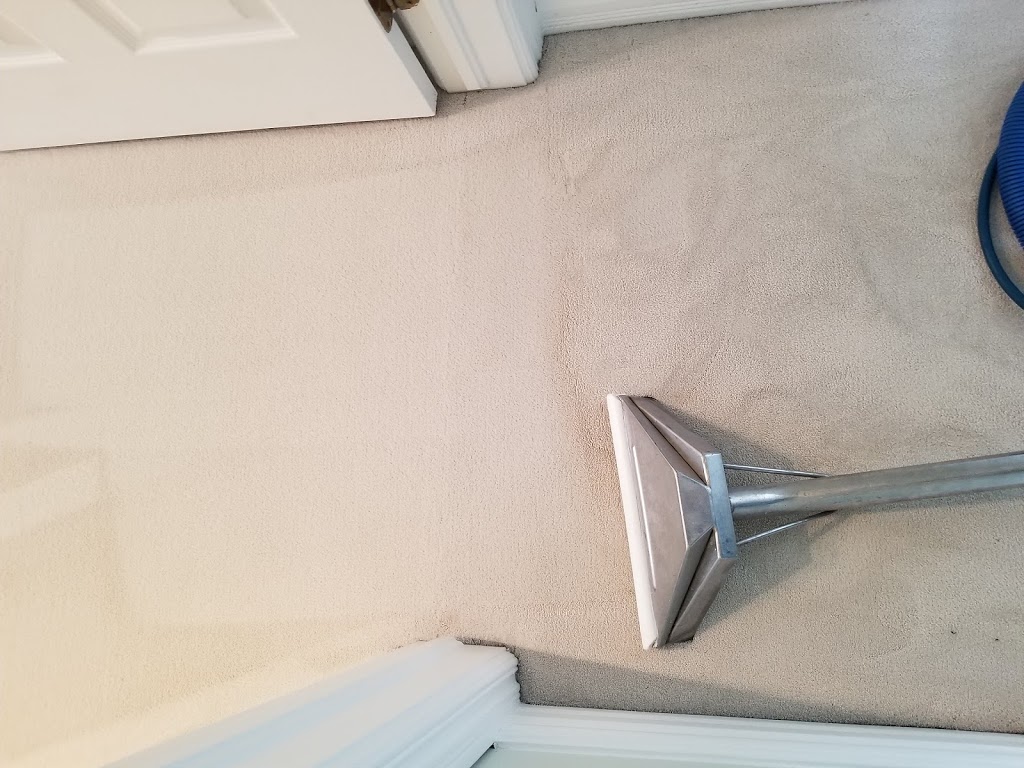 Oliva Carpet & Rug Cleaning | 1500 Upper Middle Rd W, Oakville, ON L6M 3G3, Canada | Phone: (905) 827-4554