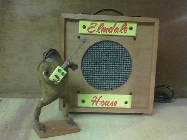 Frogman Guitars | 90 Chad St, Limoges, ON K0A 2M0, Canada | Phone: (613) 443-9574