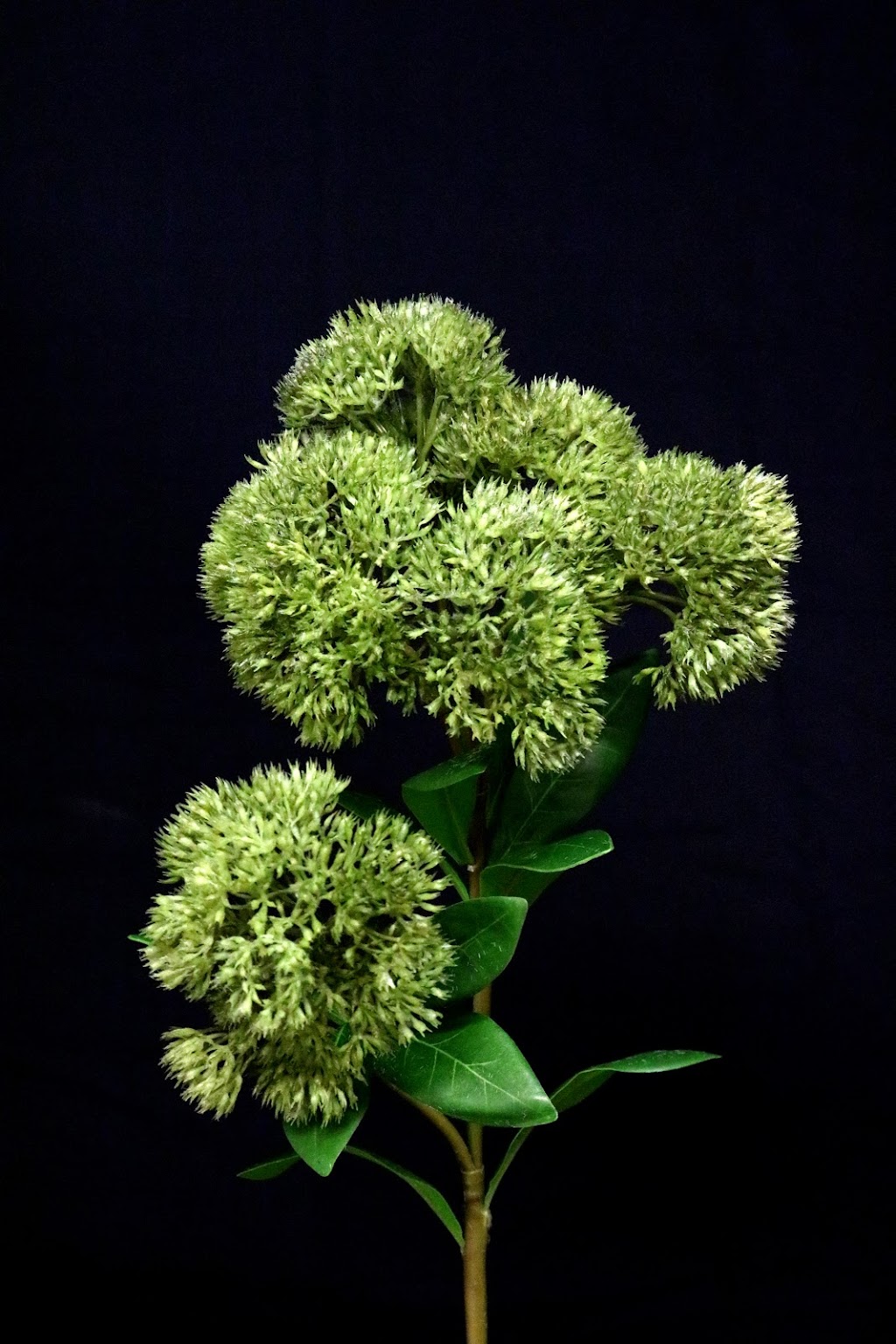 Green Import Limited | 396 Watline Ave, Mississauga, ON L4Z 1X2, Canada | Phone: (905) 502-9955