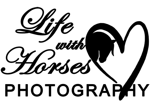 Life With Horses Photography | 3489 NB-115, Notre-Dame, NB E4V 2C9, Canada | Phone: (506) 345-0915