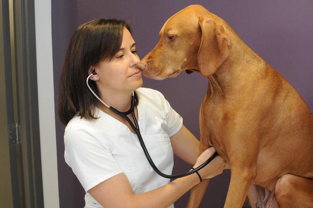 Clinique Vétérinaire Fontainebleau | 20 Boulevard des Châteaux Local 107, Blainville, QC J7B 1Z8, Canada | Phone: (450) 420-4446