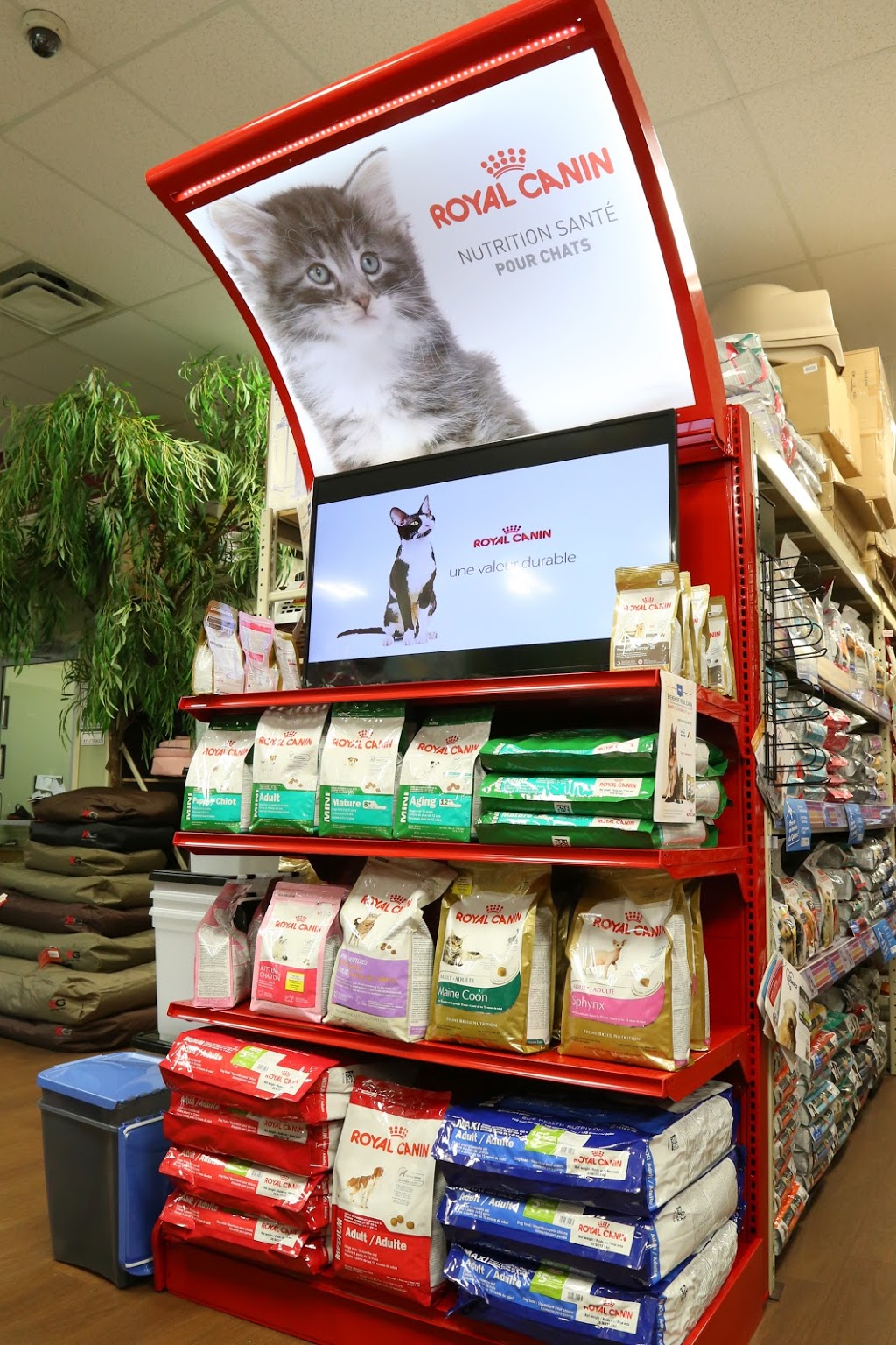 Animalerie Wouf-Miaou | 3175 Boulevard des Récollets, Trois-Rivières, QC G9A 6M1, Canada | Phone: (819) 370-1919