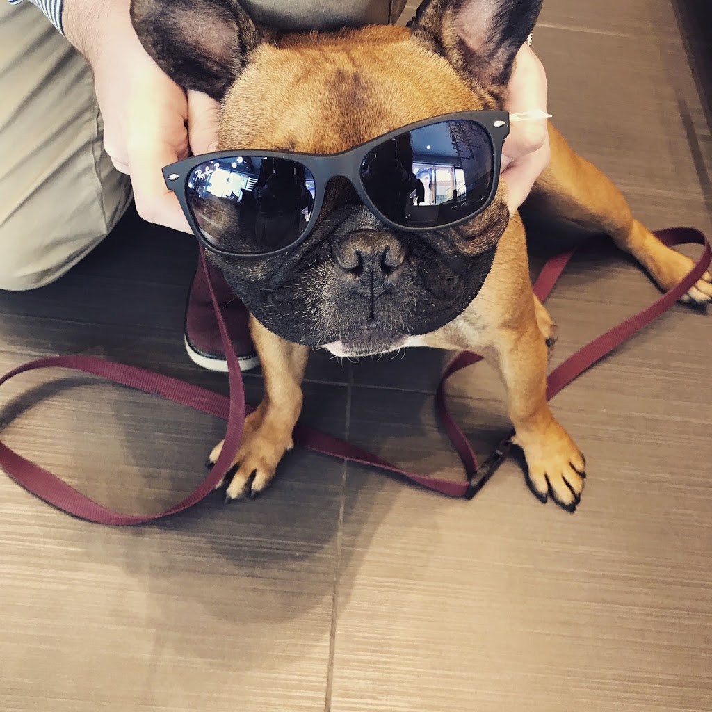 Tamas EyeCare | #112, 8 Nolan Hill Boulevard Northwest, Calgary, AB T3R 0J4, Canada | Phone: (587) 755-6060