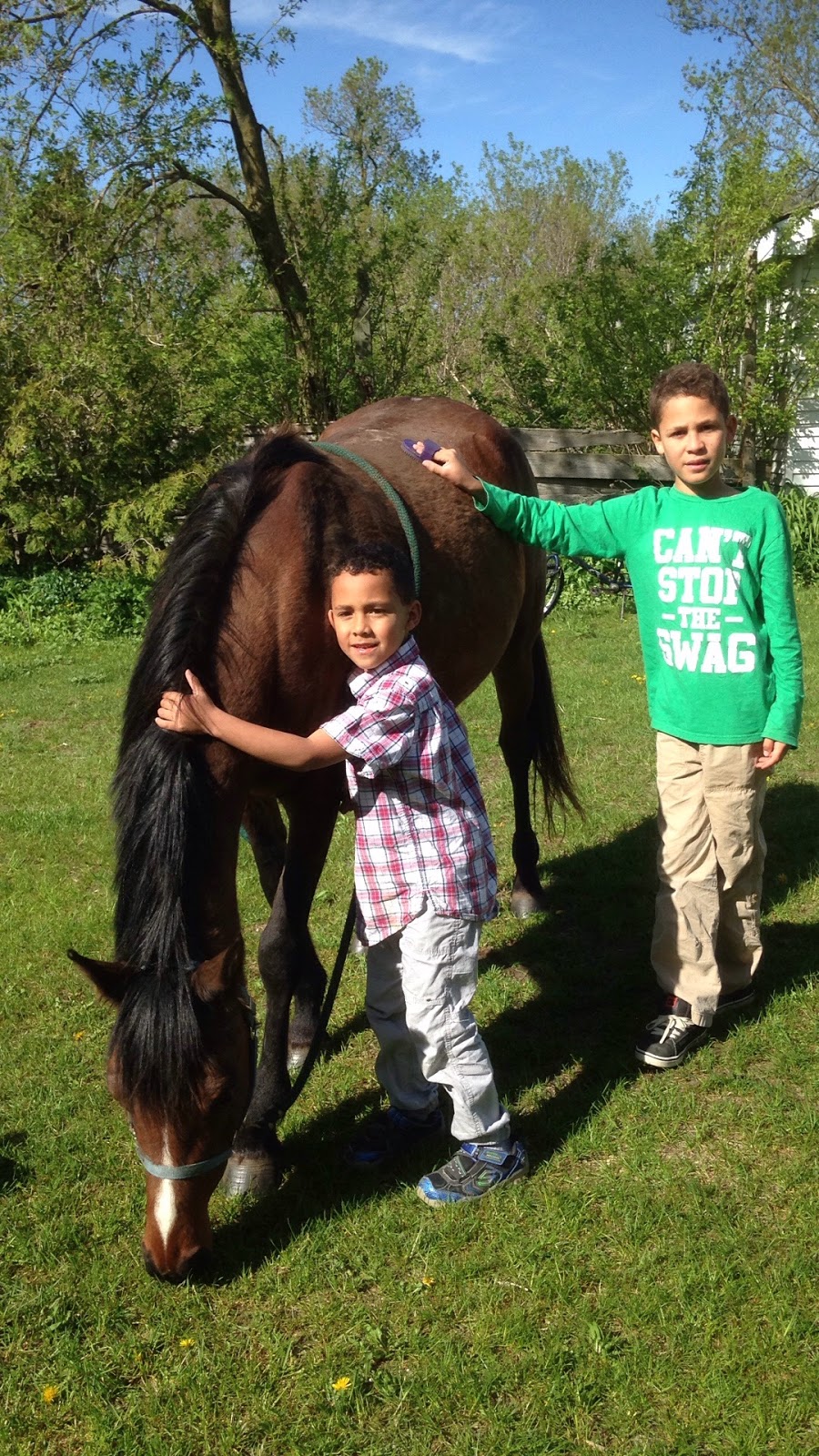 Destiny Equestrian Complex | 4088 5th Line, Innisfil, ON L9S 3L4, Canada | Phone: (416) 566-3741