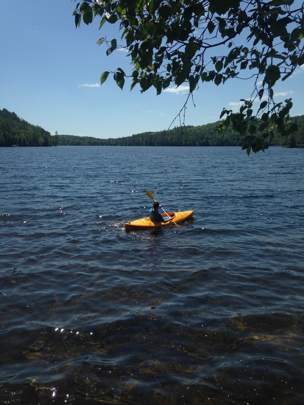 Bell Bay Provincial Park | Madawaska Valley, ON, Canada | Phone: (613) 757-2103