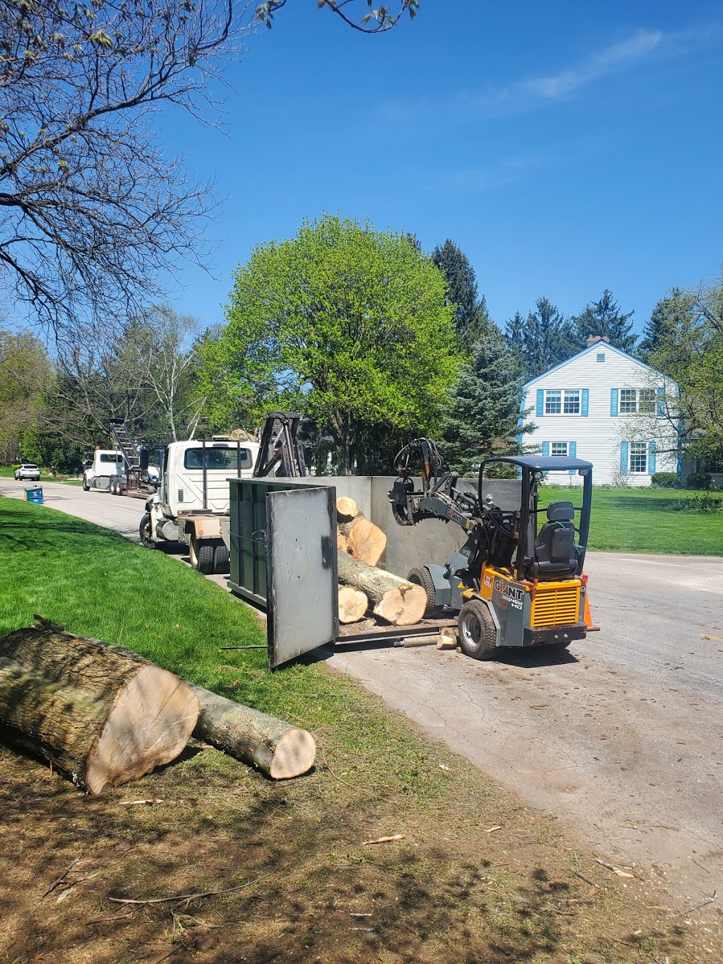 Rayzor Edge Tree Service | 1693 Durst Rd, St. Jacobs, ON N0B 2N0, Canada | Phone: (519) 503-9829