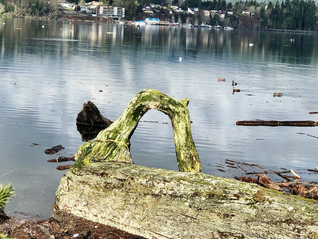 Seagull Studio Vacation Guest Suite | Seagull Studio, 1548 Dufour Rd, Sooke, BC V9Z 0T6, Canada | Phone: (250) 507-7723