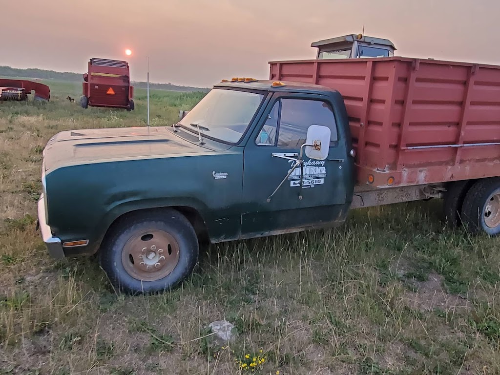 Norsemen Auction Inc | 111264 Rd 18E, Gimli, MB R0C 1B0, Canada | Phone: (204) 651-0008