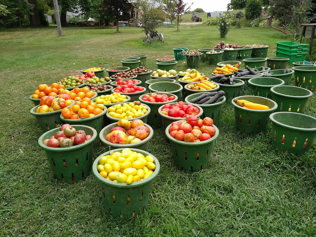 Laundry Farms | 530 Prince Edward County Rd 1, Picton, ON K0K 2T0, Canada | Phone: (613) 476-1066