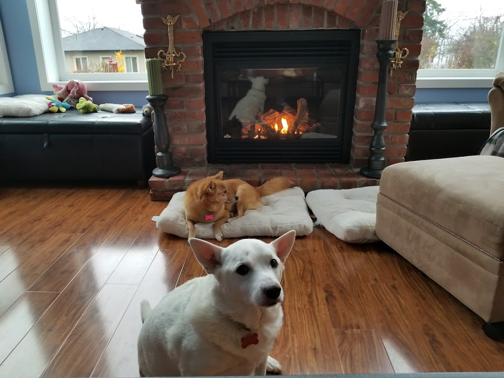 Future Friends Bed & Breakfast | 10118 Tsaykum Rd, North Saanich, BC V8L 5T6, Canada | Phone: (250) 654-0289