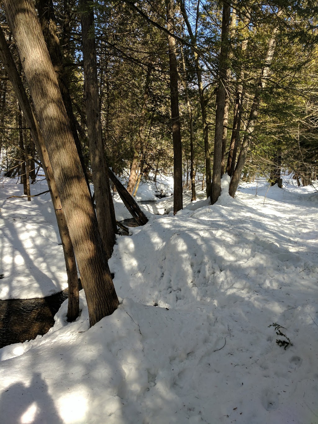Scout Valley Loop Trail | Old Barrie Rd E, Orillia, ON L0K 2G0, Canada | Phone: (705) 726-9300