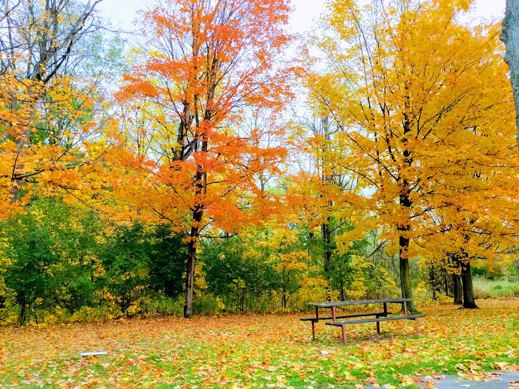 Credit Meadows Park | Streetsville, Mississauga, ON L5N, Canada | Phone: (416) 837-1944