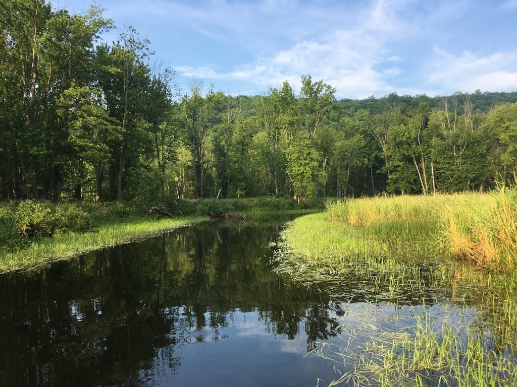 Ferguson Lake Cabins | 1120 Ferguson Lake Rd, Renfrew, ON K7V 3Z7, Canada | Phone: (613) 432-6713
