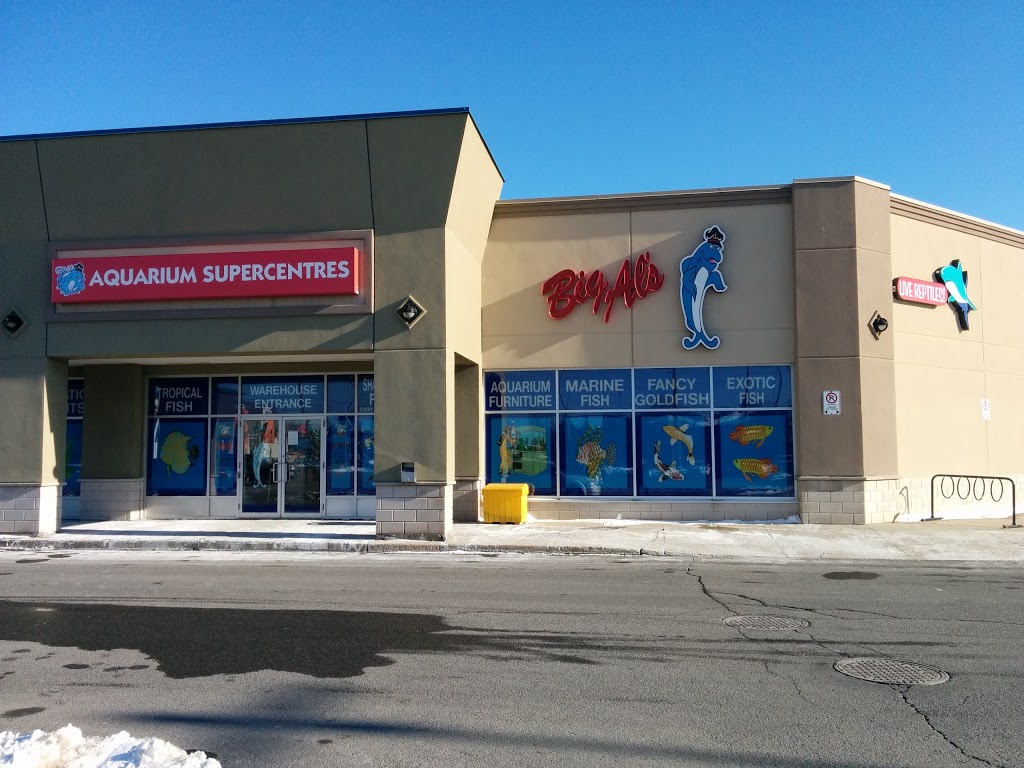Big Als Aquarium Supercentres - Ottawa | 1900 Innes Rd, Gloucester, ON K1B 3K5, Canada | Phone: (613) 244-3474