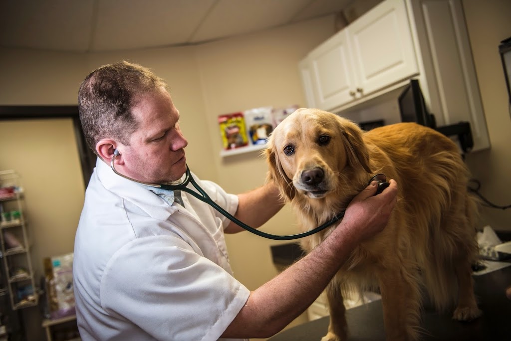 Woodlawn Veterinary Hospital | 485 Silvercreek Pkwy N, Guelph, ON N1H 7K5, Canada | Phone: (519) 821-6565