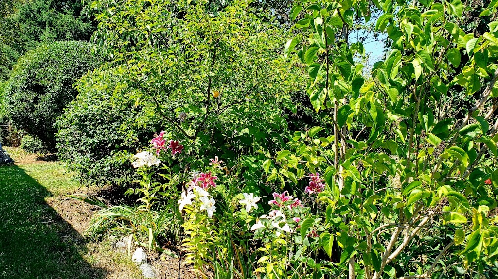 A.L.C. Lawn Care and Landscaping | Grovehill Rd, Bowser, BC V9K 2A3, Canada | Phone: (250) 508-5912