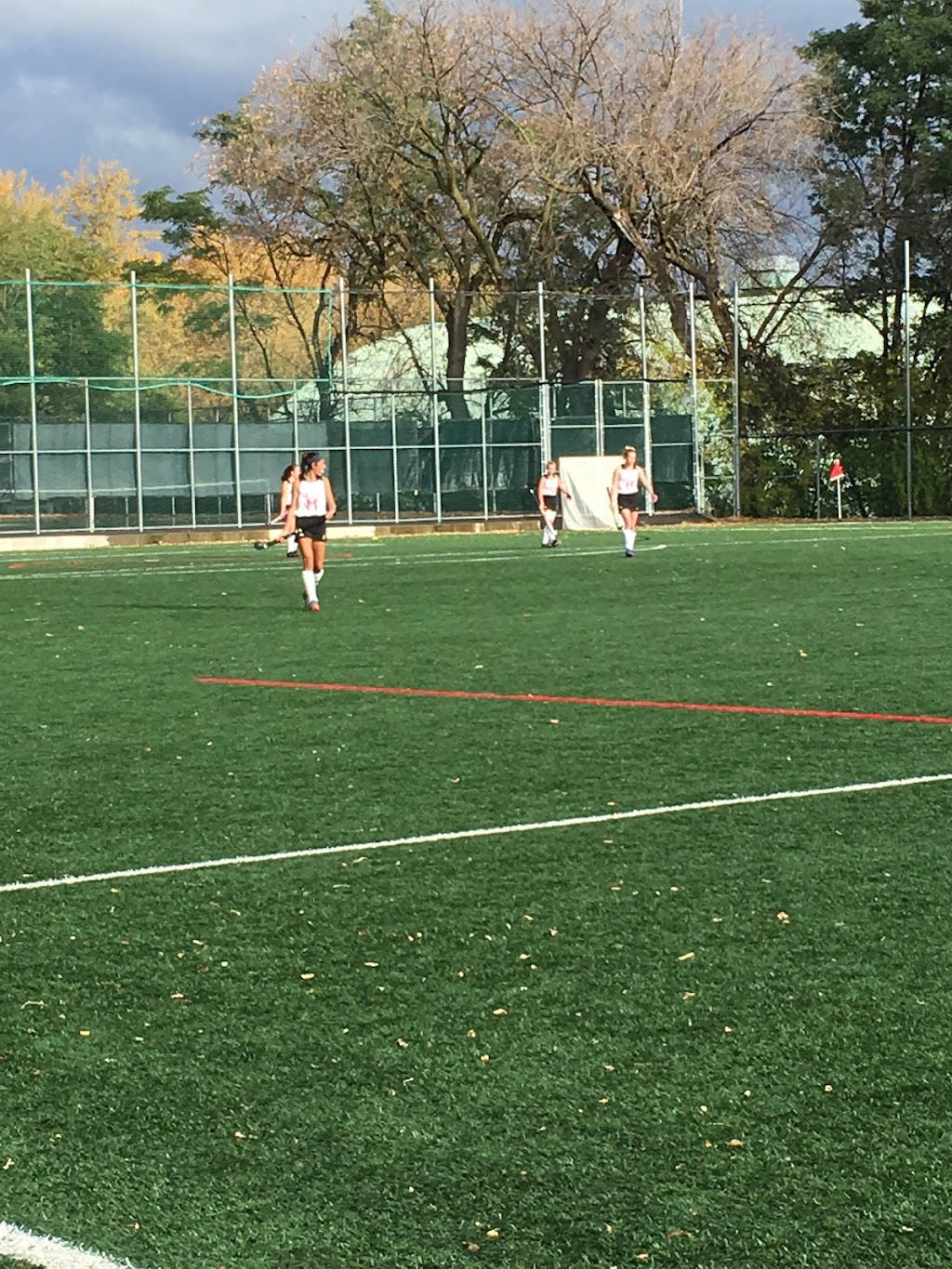 Forbes Field | 3905 Rue University, Montréal, QC H3A 2B4, Canada | Phone: (514) 398-7017
