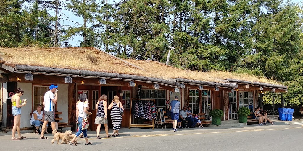Wabi Sabi Boardwear | 2310 Alberni Hwy, Coombs, BC V0R 1M0, Canada | Phone: (250) 954-3514