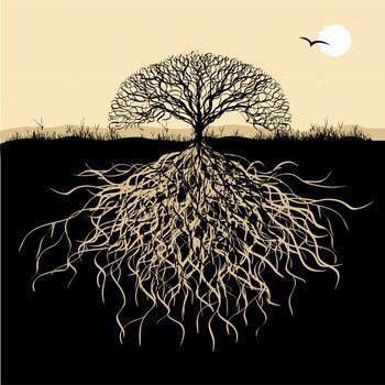 Roots and Wings | 3160 Casorso Road, Kelowna, BC, Canada, Kelowna, BC V1W 3L7, Canada | Phone: (250) 864-0504