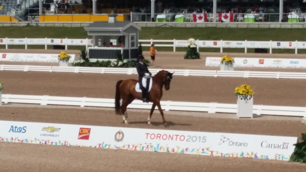 Caledon Equestrian Park | 200 Pine Ave, Palgrave, ON L7E 0M1, Canada | Phone: (905) 880-5344