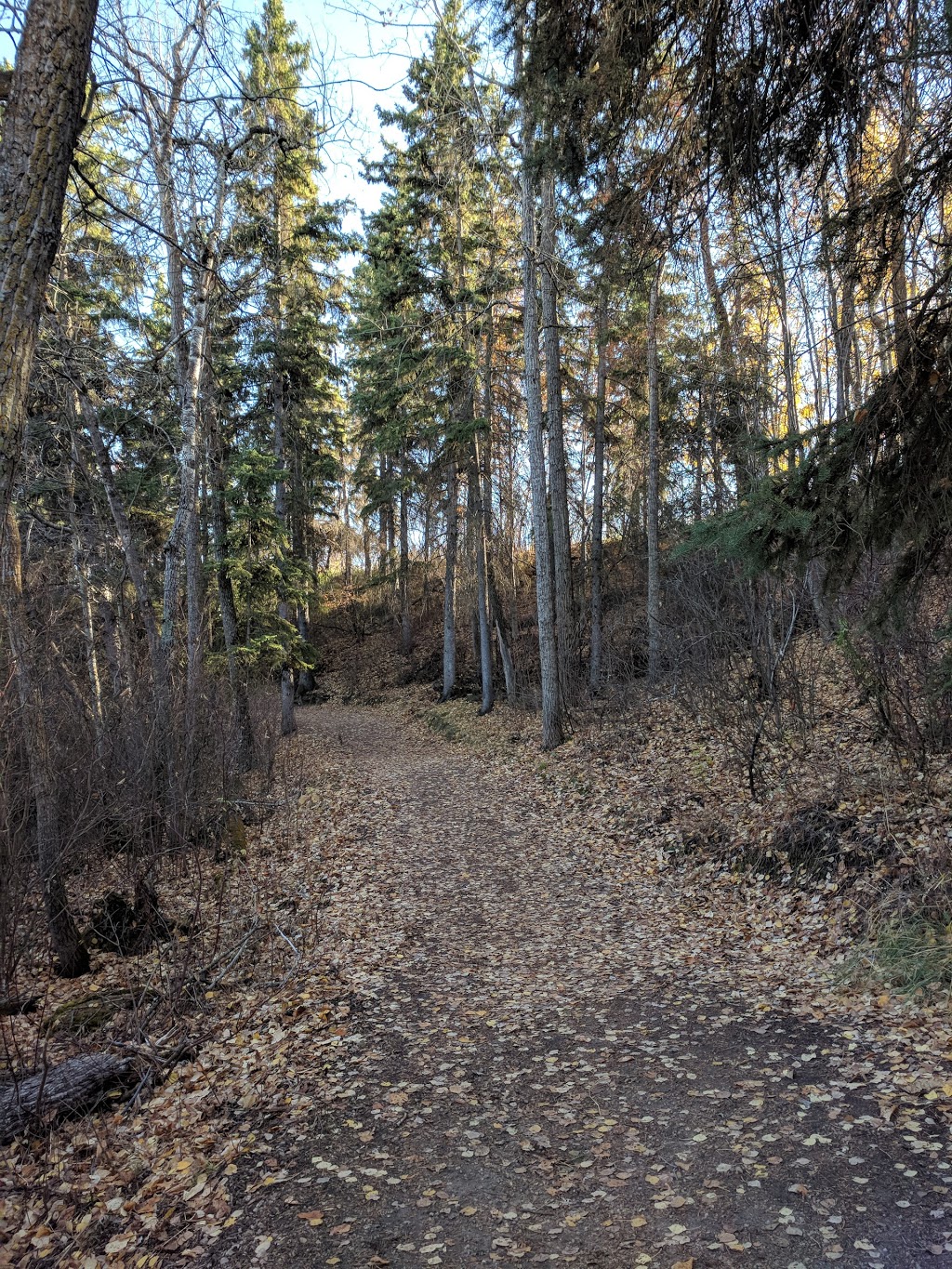 Creeks Crossing Park | 38a Ave NW, Edmonton, AB T6L 6R5, Canada