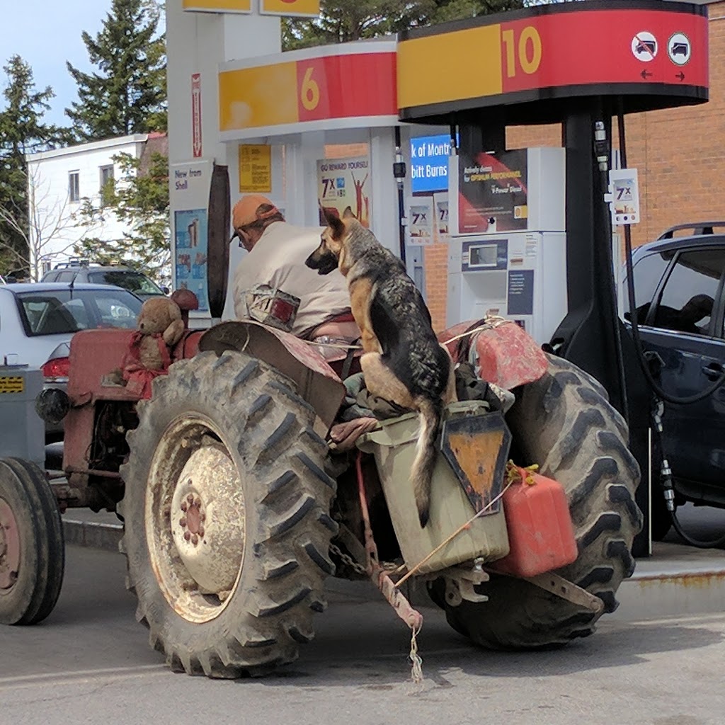 Shell | 5842 Main St, Whitchurch-Stouffville, ON L4A 2S8, Canada | Phone: (905) 640-1456
