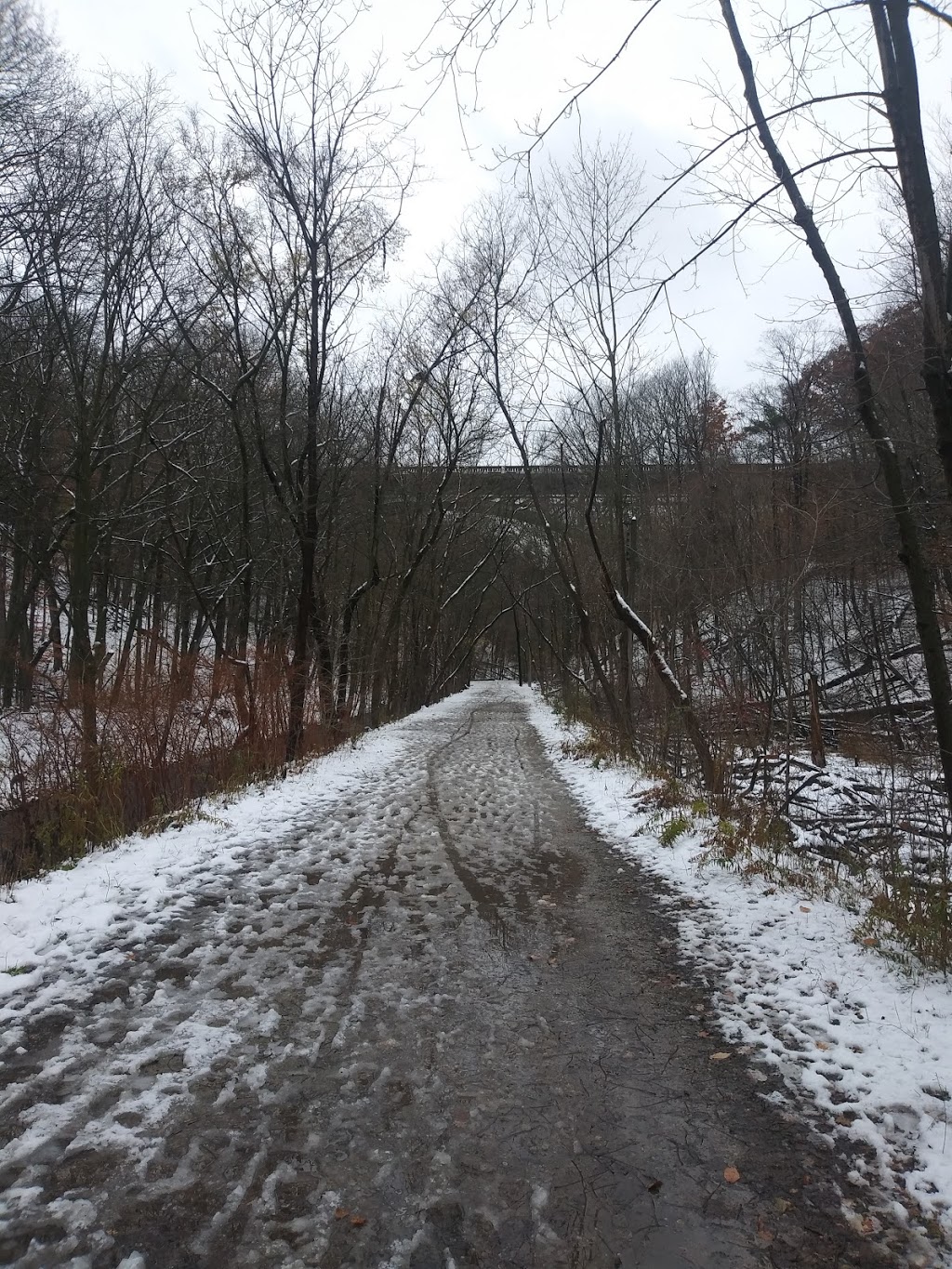 Park Drive Reservation Lands | 185 Mt Pleasant Rd, Toronto, ON M4W 1W2, Canada | Phone: (416) 392-2489